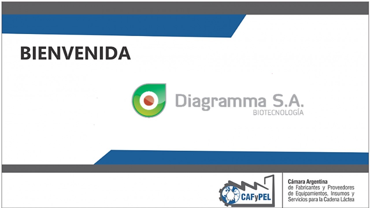Bienvenida DIAGRAMMA S.A.